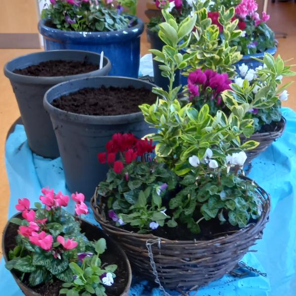 May Gardening with Unwind with Plants