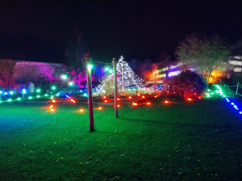 Festive Lights at Shackleton Garden
